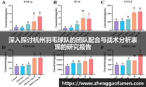 深入探讨杭州羽毛球队的团队配合与战术分析表现的研究报告