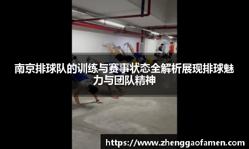 南京排球队的训练与赛事状态全解析展现排球魅力与团队精神