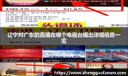 辽宁对广东的直播在哪个电视台播出详细信息一览